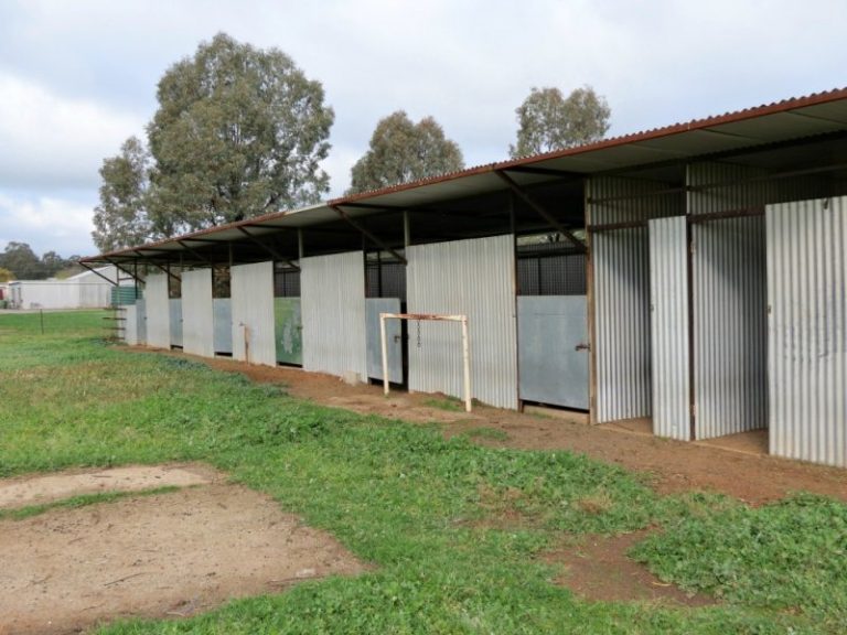 9 Brampton Street, Temora NSW 2666 - photo 4