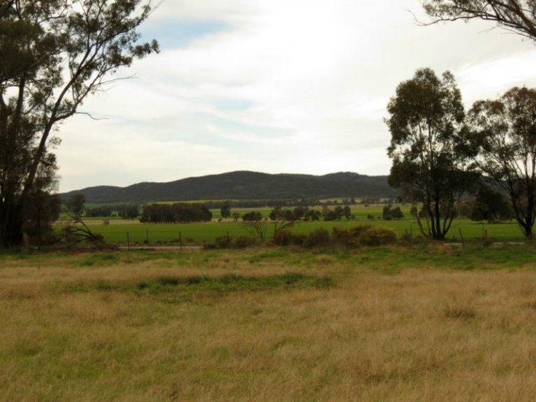 . Trungley Hall Road, Trungley Hall NSW 2666 - photo 2