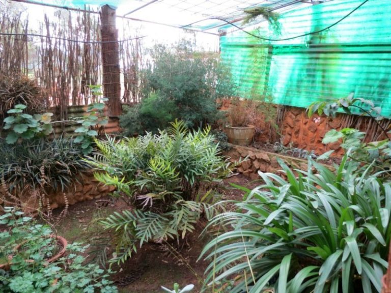 . Trungley Hall Road, Trungley Hall NSW 2666 - photo 15