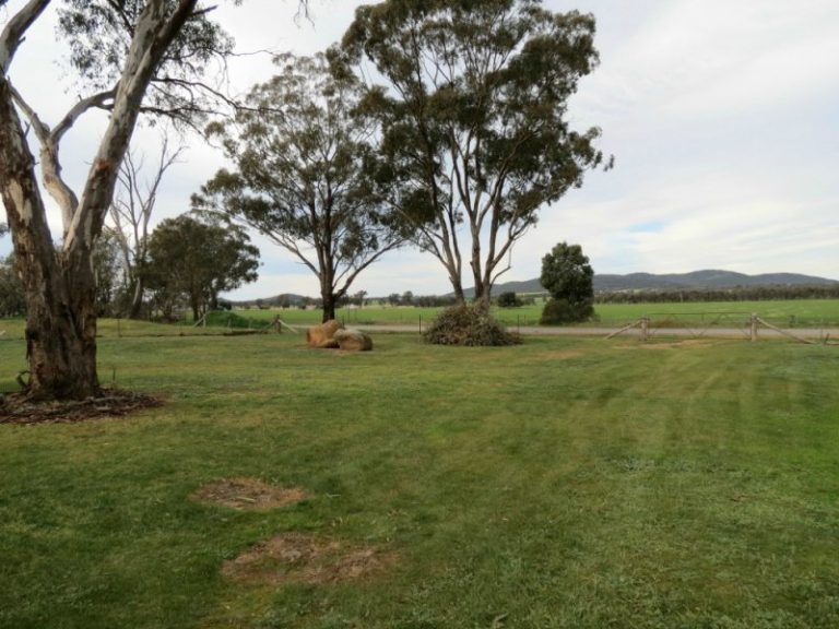 . Trungley Hall Road, Trungley Hall NSW 2666 - photo 21
