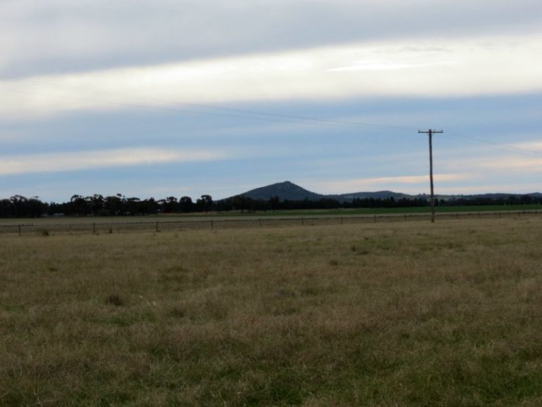 . Trungley Hall Road, Trungley Hall NSW 2666 - photo 22