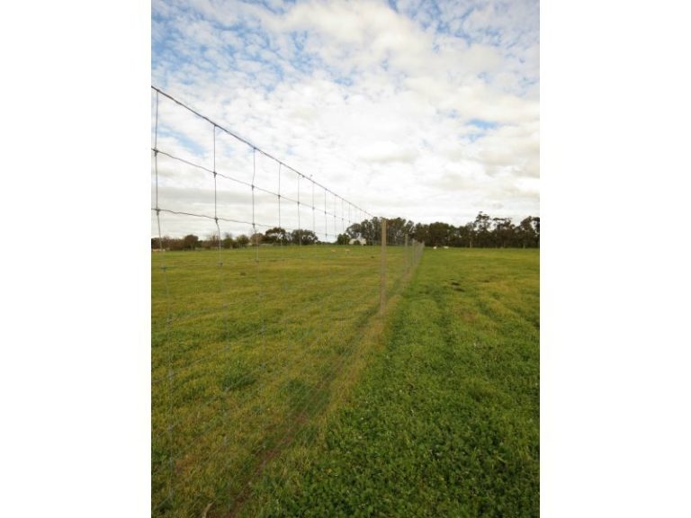 444 Irrigation Way, Narrandera NSW 2700 - photo 20