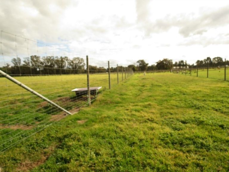 444 Irrigation Way, Narrandera NSW 2700 - photo 21