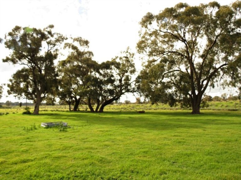 444 Irrigation Way, Narrandera NSW 2700 - photo 26