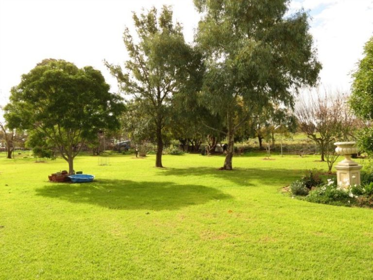 444 Irrigation Way, Narrandera NSW 2700 - photo 9