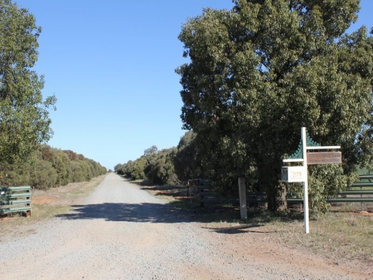 2179 Cnr Pinegrove West & Crampton, Walleroobie NSW 2665 - McGrath Riverina