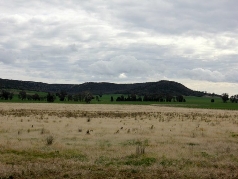 1141 Morangarell Road, Temora NSW 2666 - photo 2