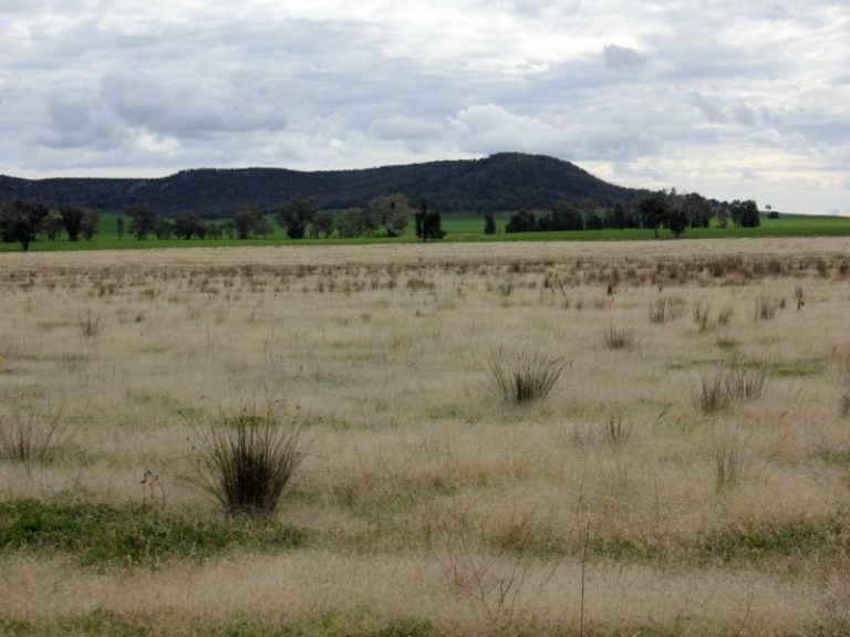 1141 Morangarell Road, Temora NSW 2666 - photo 11