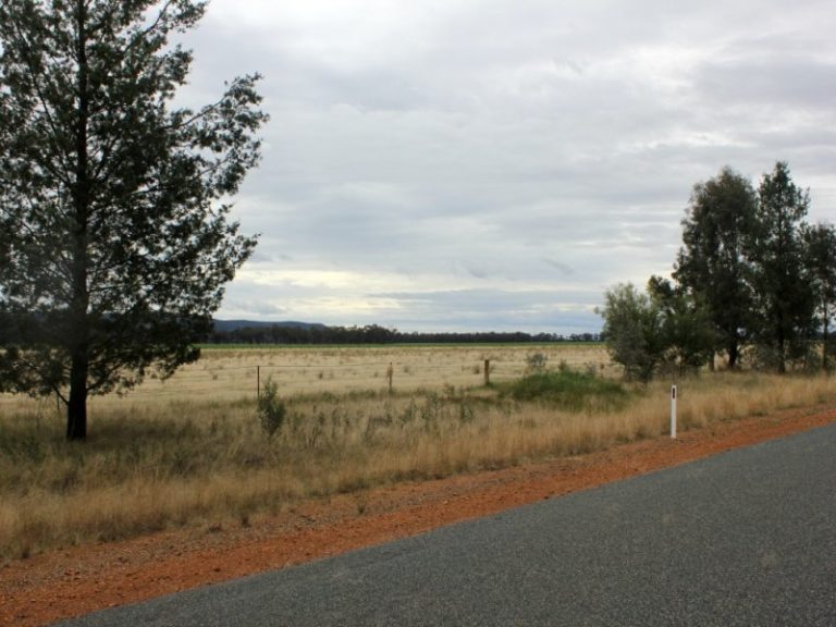 1141 Morangarell Road, Temora NSW 2666 - photo 3