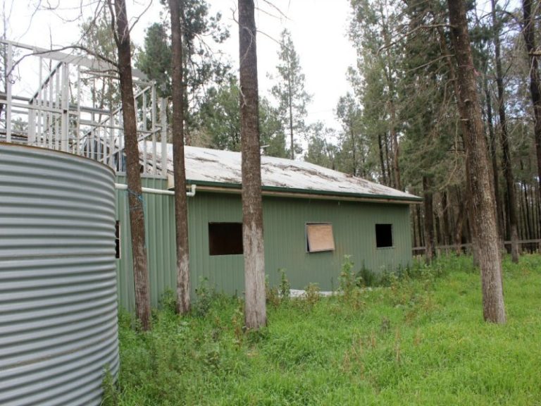 1141 Morangarell Road, Temora NSW 2666 - photo 5