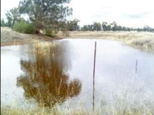 143 Boree Street, Grong Grong NSW 2652 - photo 2