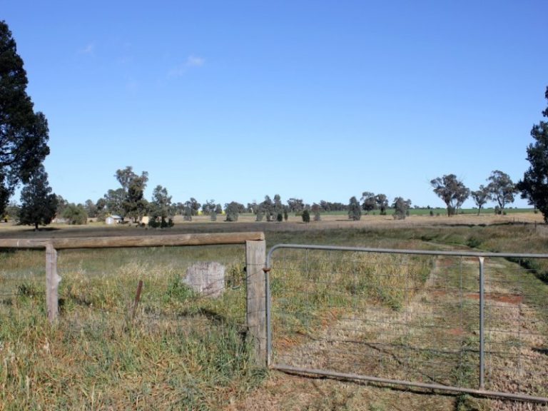 143 Boree Street, Grong Grong NSW 2652 - photo 4