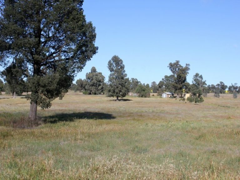 143 Boree Street, Grong Grong NSW 2652 - photo 6