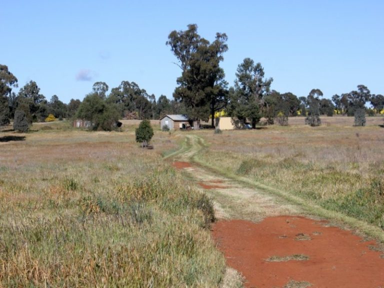 143 Boree Street, Grong Grong NSW 2652 - photo 7
