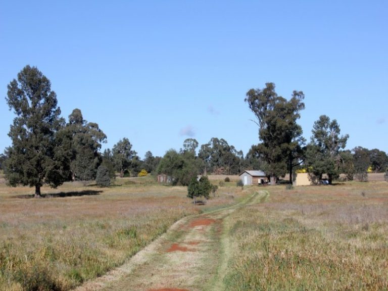 143 Boree Street, Grong Grong NSW 2652 - McGrath Riverina