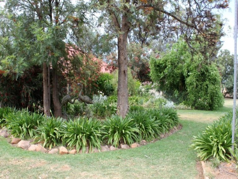 6604 Young Road, Temora NSW 2666 - photo 12