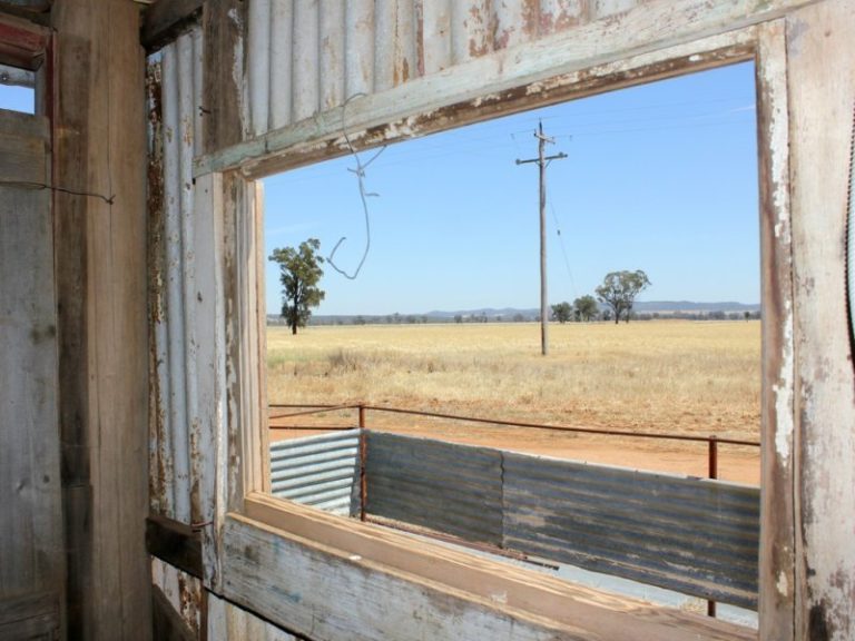 6604 Young Road, Temora NSW 2666 - photo 22