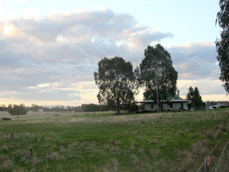6410 Burley Griffin Way, Temora NSW 2666 - photo 2