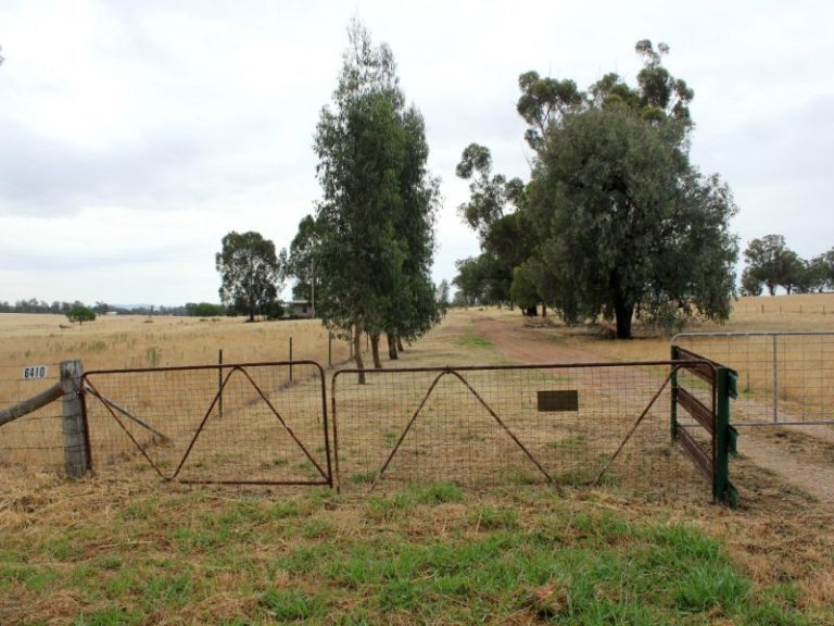 6410 Burley Griffin Way, Temora NSW 2666 - photo 15