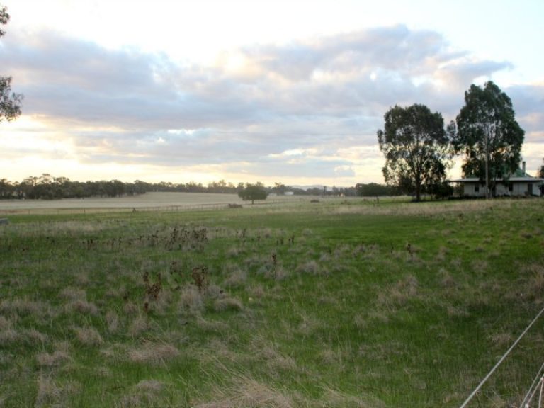 6410 Burley Griffin Way, Temora NSW 2666 - photo 17