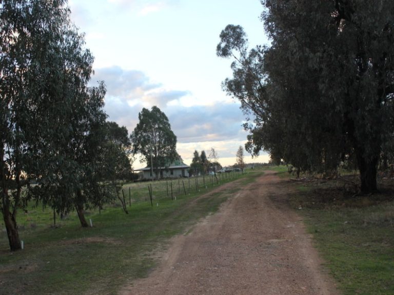 6410 Burley Griffin Way, Temora NSW 2666 - photo 4