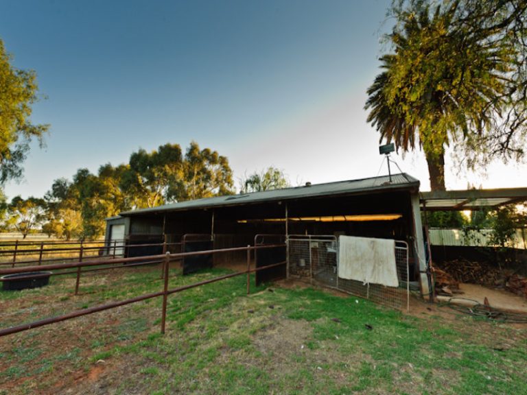 252 Irrigation Way, Narrandera NSW 2700 - photo 14
