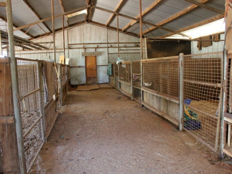 252 Irrigation Way, Narrandera NSW 2700 - photo 15