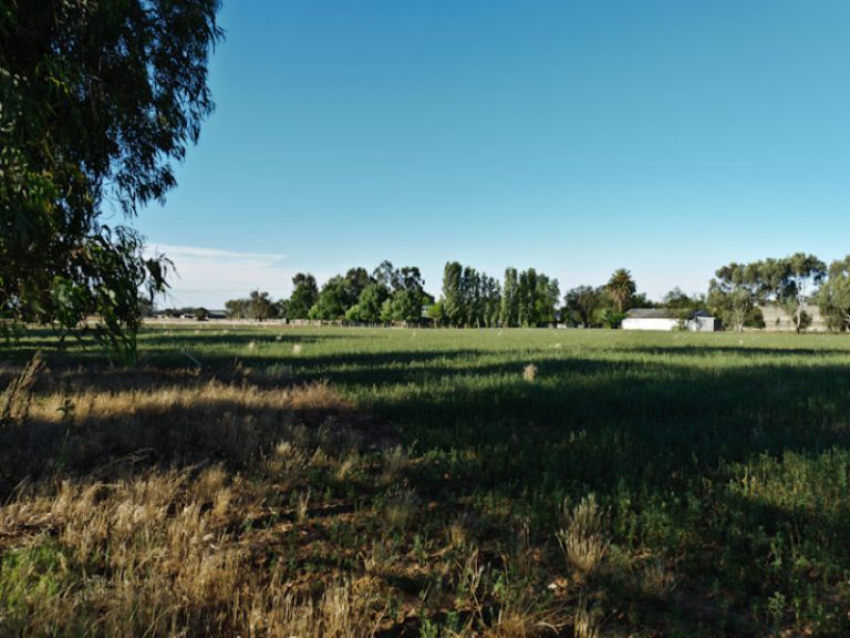 252 Irrigation Way, Narrandera NSW 2700 - photo 17