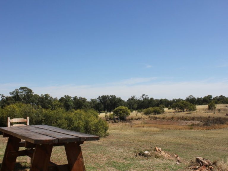 172 Springdale Wallundry Road, Temora NSW 2666 - photo 2