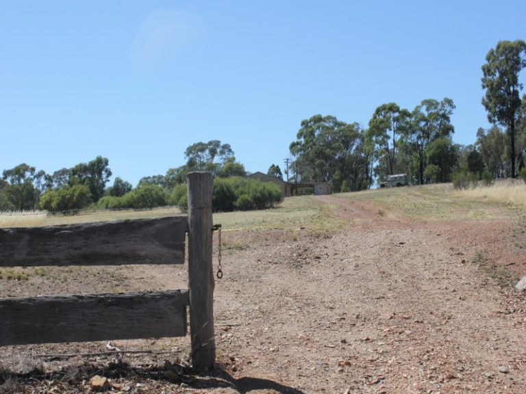 172 Springdale Wallundry Road, Temora NSW 2666 - photo 14