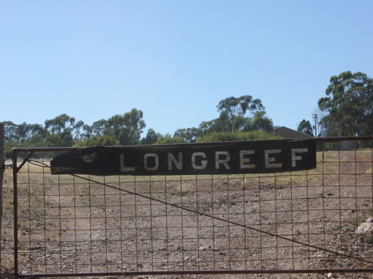 172 Springdale Wallundry Road, Temora NSW 2666 - photo 3