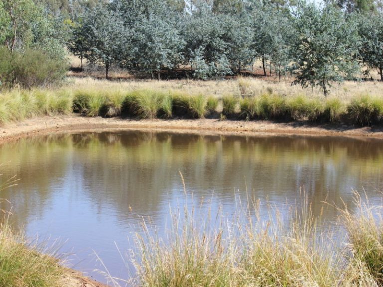 172 Springdale Wallundry Road, Temora NSW 2666 - photo 4