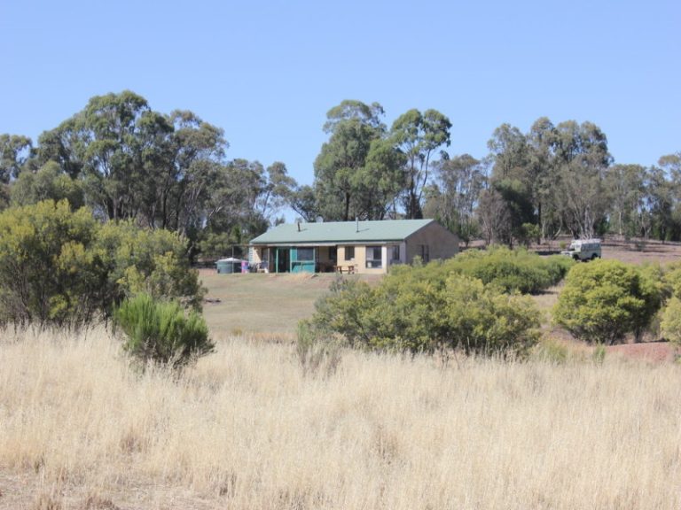 172 Springdale Wallundry Road, Temora NSW 2666 - McGrath Riverina