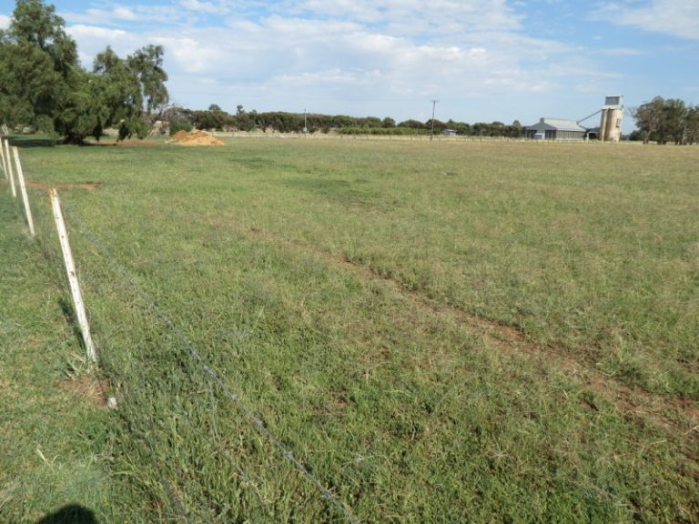 1460 Goldfields Way, Temora NSW 2666 - photo 5