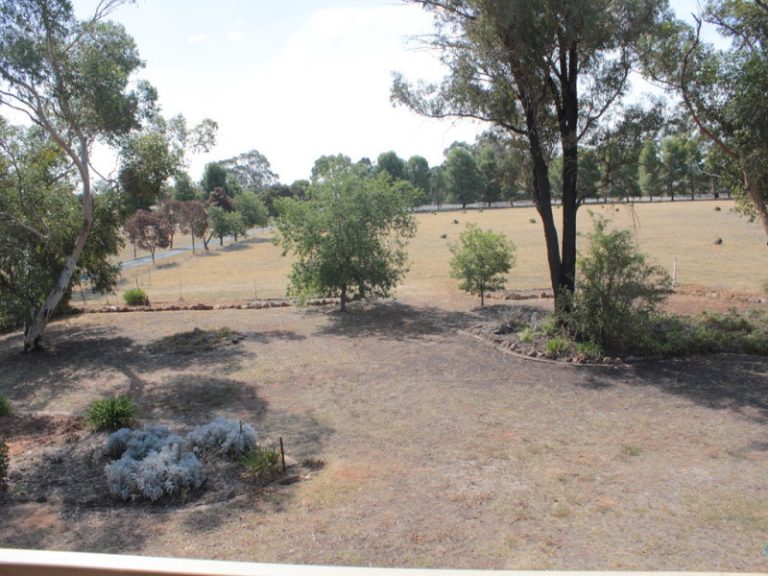 7591 Milvale Road, Temora NSW 2666 - photo 16