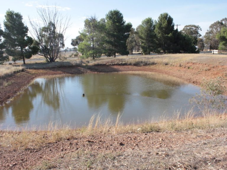 7591 Milvale Road, Temora NSW 2666 - photo 20