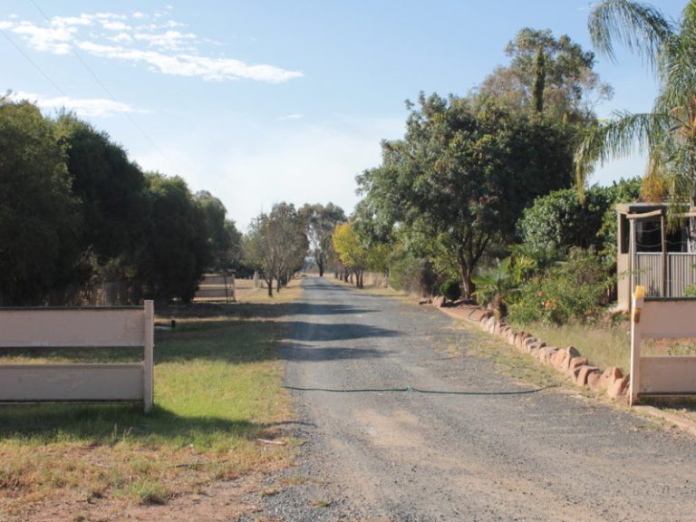 7591 Milvale Road, Temora NSW 2666 - photo 22