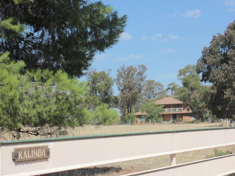 7591 Milvale Road, Temora NSW 2666 - McGrath Riverina