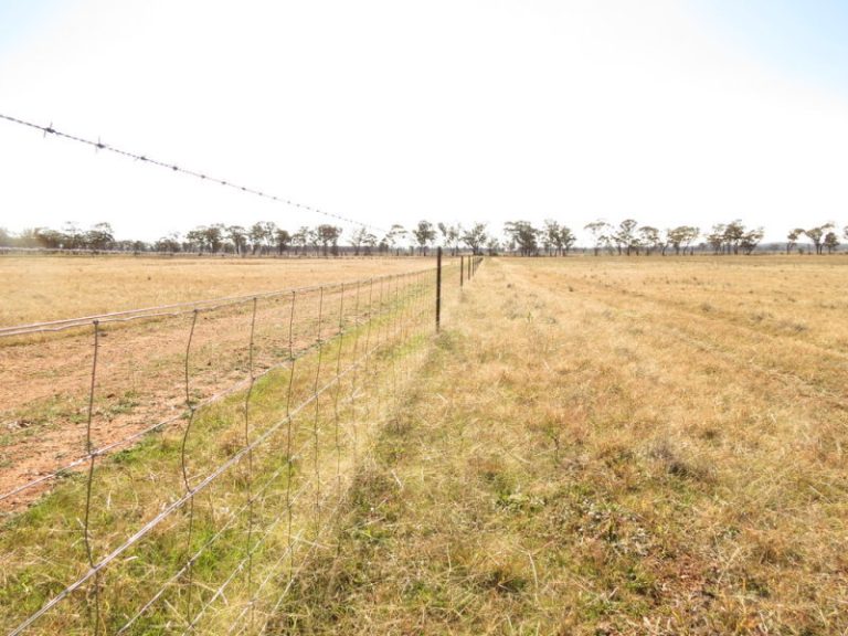 581 Slingers Lane, Temora NSW 2666 - photo 2