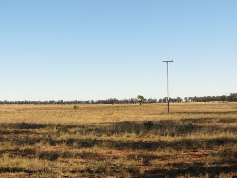 581 Slingers Lane, Temora NSW 2666 - photo 5