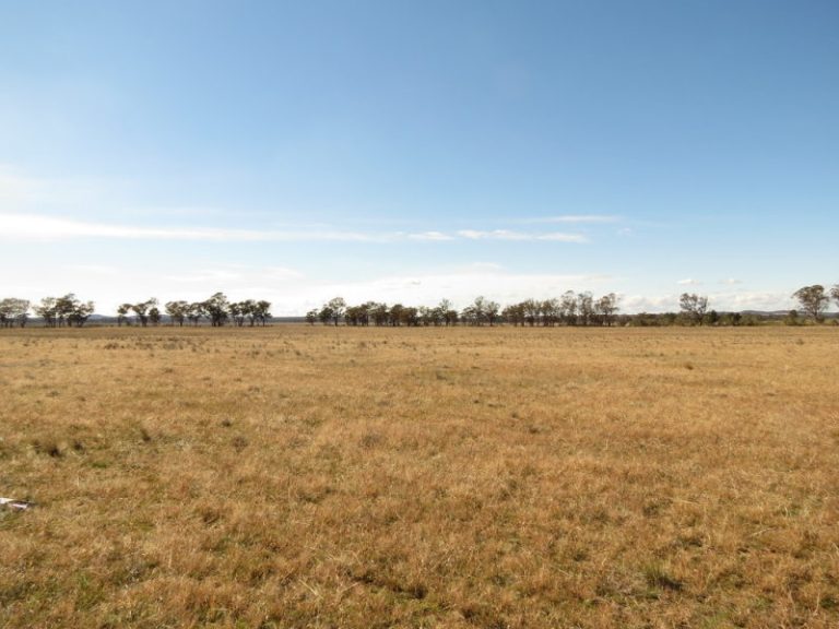 581 Slingers Lane, Temora NSW 2666 - photo 7
