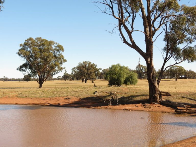 581 Slingers Lane, Temora NSW 2666 - McGrath Riverina