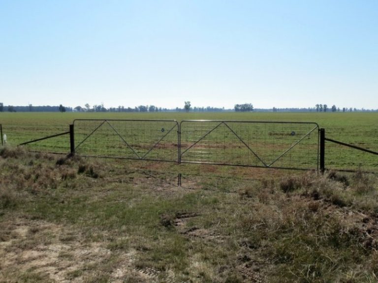 257 Fullers Lane, West Wyalong NSW 2671 - photo 5