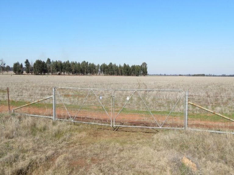 257 Fullers Lane, West Wyalong NSW 2671 - photo 6
