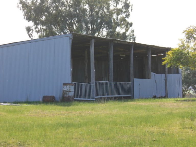 Kanimbla Hume Highway, Tarcutta NSW 2652 - photo 13