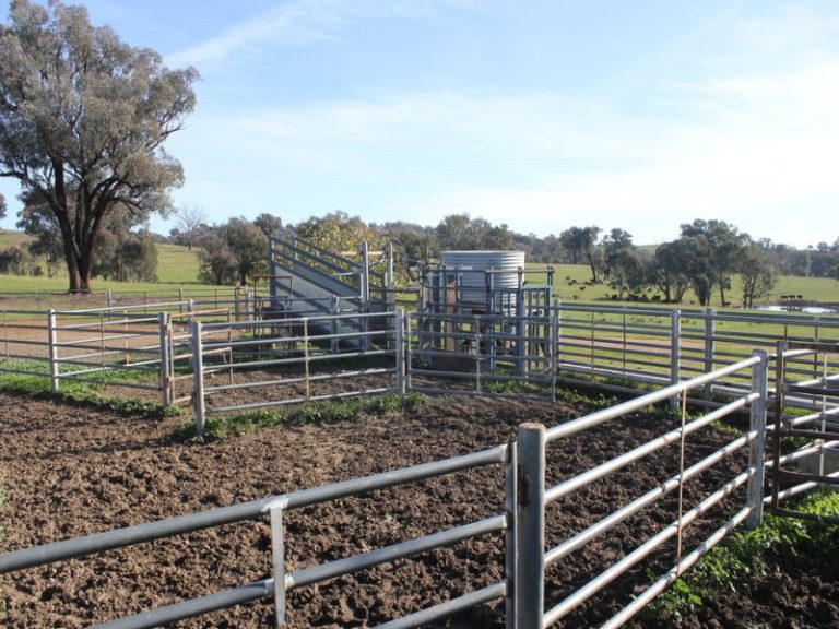 Kanimbla Hume Highway, Tarcutta NSW 2652 - photo 15