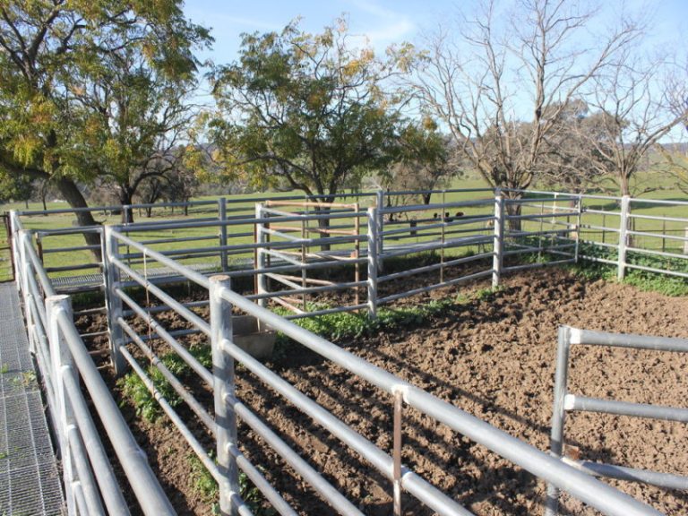 Kanimbla Hume Highway, Tarcutta NSW 2652 - photo 16