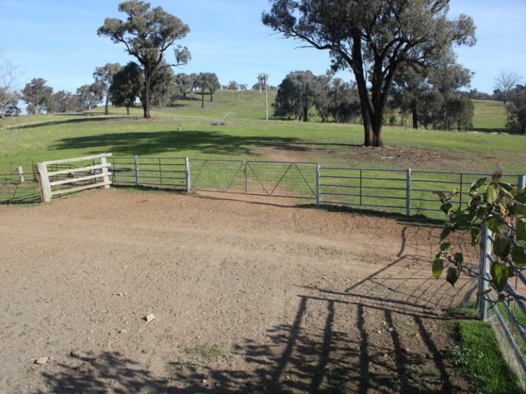 Kanimbla Hume Highway, Tarcutta NSW 2652 - photo 17
