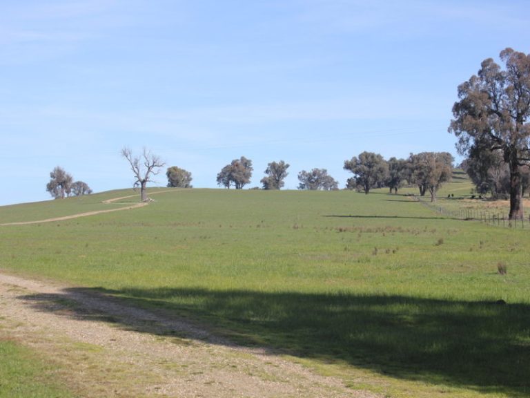 Kanimbla Hume Highway, Tarcutta NSW 2652 - photo 4
