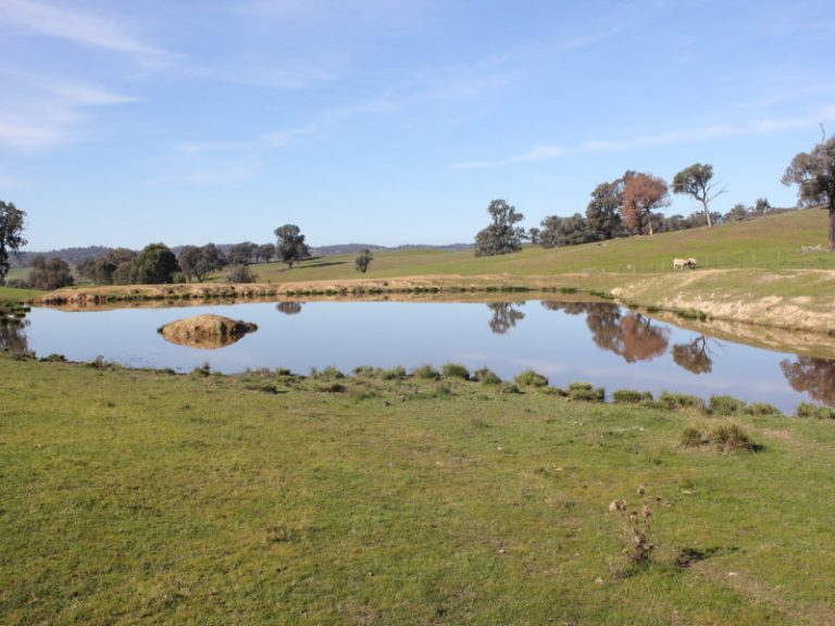 Kanimbla Hume Highway, Tarcutta NSW 2652 - photo 8